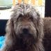 Profile Picture of Stuart Boyce (@stuart.boyce.5473) on Facebook