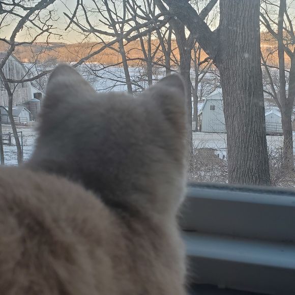 Profile Picture of Angi Baudler (@ladydretza) on Poshmark