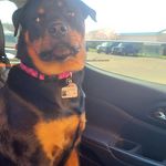 Profile Picture of Joy Ralph (@joy.ralph) on Instagram