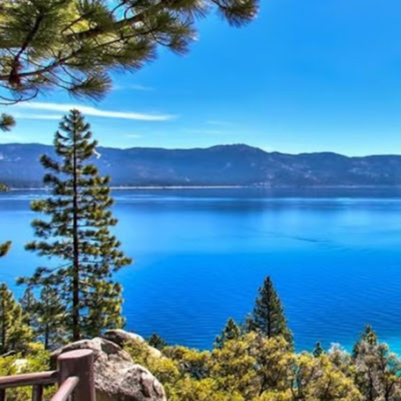 Profile Picture of Dawn Bursell (@dawnbursell) on Poshmark