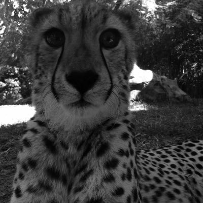 Profile Picture of Joe (@JoeHeffernan114) on Twitter