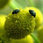 Profile Picture of andrew_fundscomein (@andrew_fundscomein) on Instagram