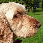 Profile Picture of John Reeves (@WildPhotoMonkey) on Flickr