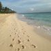 Profile Picture of Lori Donovan (@loridonovan70) on Pinterest