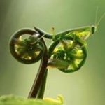 Profile Picture of Guy Apple (@guyapple54) on Instagram