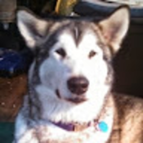 Profile Picture of Scott Wittnebel (@jjscott5150) on Poshmark