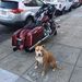 Profile Picture of Marcel Gonyeau (@gonyeausons) on Pinterest