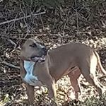 Profile Picture of Shawn Mershon (@shawnmershon) on Instagram