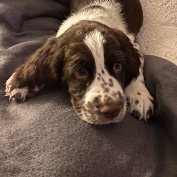 Profile Picture of Jodi Mckenna (@jmckenna3) on Poshmark