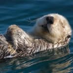 Profile Picture of Delphine Buczynski (@Delphine-Buczynski) on Facebook