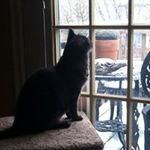 Profile Picture of Barbara Moody (@barb_moody) on Instagram