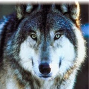 Profile Picture of Steve Valencia (@stevevalencia2775) on Youtube