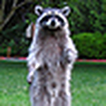 Profile Picture of Nick Stevens (@Nick S.tevens) on Flickr