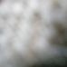 Profile Picture of Ken Neufeld (@ken.neufeld.18) on Facebook