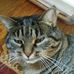 Profile Picture of Lisa Mattes (@lisa.mattes.58) on Facebook