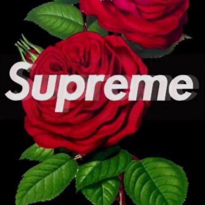 Max Colletta - Tiktok Profile Picture of Max Colletta (@.max_colletta) on Tiktok