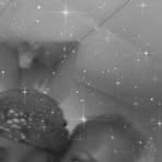 Profile Picture of Terisa Jerry (@Terisa-Jerry) on Facebook