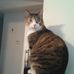 Profile Picture of Shelley Aaronson (@shelley.aaronson.9) on Facebook