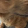 Profile Picture of John Retcher (@johnretcher) on Tiktok