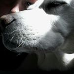 Profile Picture of _kevin_ (@kevin_mcevoy1) on Instagram