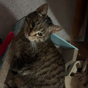 Profile Picture of Peter Rothman (@peterrothman3453) on Youtube