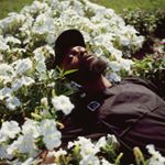 Profile Picture of Peter Nutter (@peternutter) on Instagram