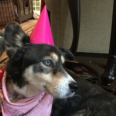 Profile Picture of Mike Williams (@red_mcwilliams) on Twitter