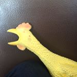 Profile Picture of Sheldon Walter Richards Cluff (@rubberchicken_sheldon) on Instagram