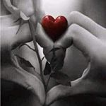 Profile Picture of Joseph Carolina (@josephc602) on Instagram