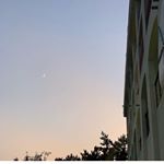 Profile Picture of monica_farabaugh (@monica_farabaugh) on Instagram