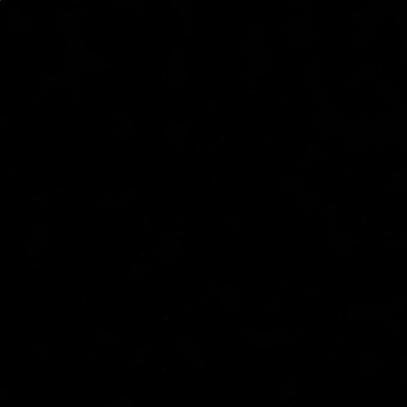 Profile Picture of Anthony Licata (@alicataa21) on Poshmark