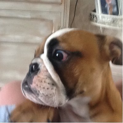 Profile Picture of J Ward (@Johnsward55Ward) on Twitter