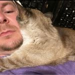 Profile Picture of Charles Kovacs (@angry_neighborhood_batman) on Instagram