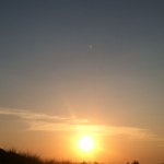 Profile Picture of Julia Schnabel (@juliaschnabel) on Instagram