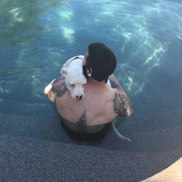 Profile Picture of Josh Yorio (@joshyorio) on Poshmark