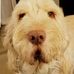 Profile Picture of David Whaley (@david.t.whaley) on Facebook