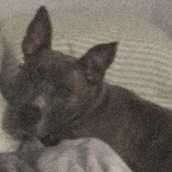 Profile Picture of Bradley Cook (@bradcxxk) on Poshmark