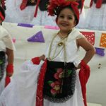 Profile Picture of Elvia Ledesma Robles (@elvialedesmarobles) on Instagram