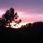 Profile Picture of Daniel Workman (@dangerdude428) on Instagram