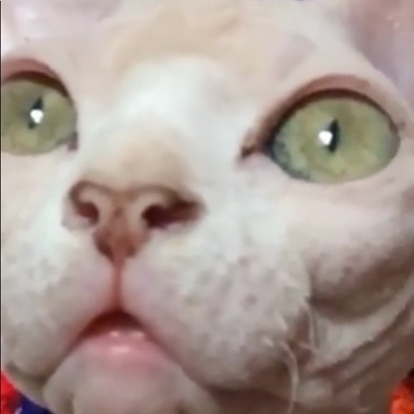 Profile Picture of Hero Cavener (@her00) on Poshmark