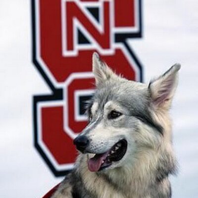Profile Picture of Jim Apple (@jimapple) on Twitter