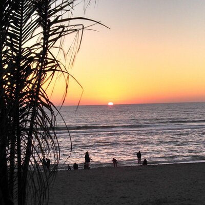 Profile Picture of Jim DeCesare (@jazzzimp) on Twitter