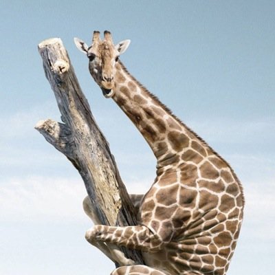 Profile Picture of Bill Peare (@billpeare) on Twitter