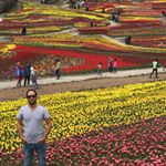 Profile Picture of Davod (@davod.ya.david) on Instagram