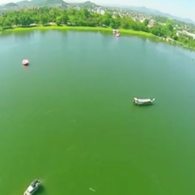 Profile Picture of Ngo Sim (@NgoSim1) on Twitter