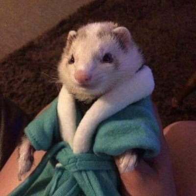 Profile Picture of David R Perea (@CuratorsPen) on Twitter