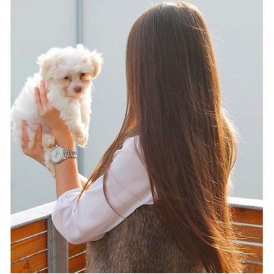 Profile Picture of Lena Issa (@lenaissa1) on Twitter