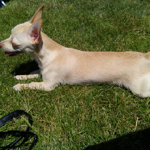 Profile Picture of Isabel Madera (@woody_13) on Poshmark