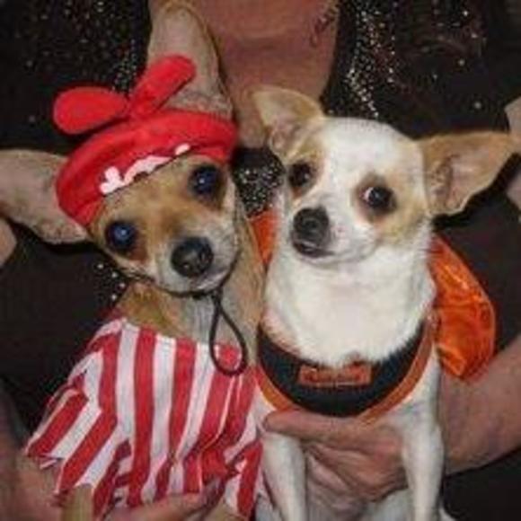 Profile Picture of Donna Craig (@nottiegurl1) on Poshmark