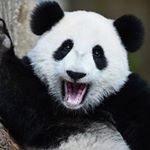 Profile Picture of Matthew Mortensen (@legendarymatthewm) on Instagram
